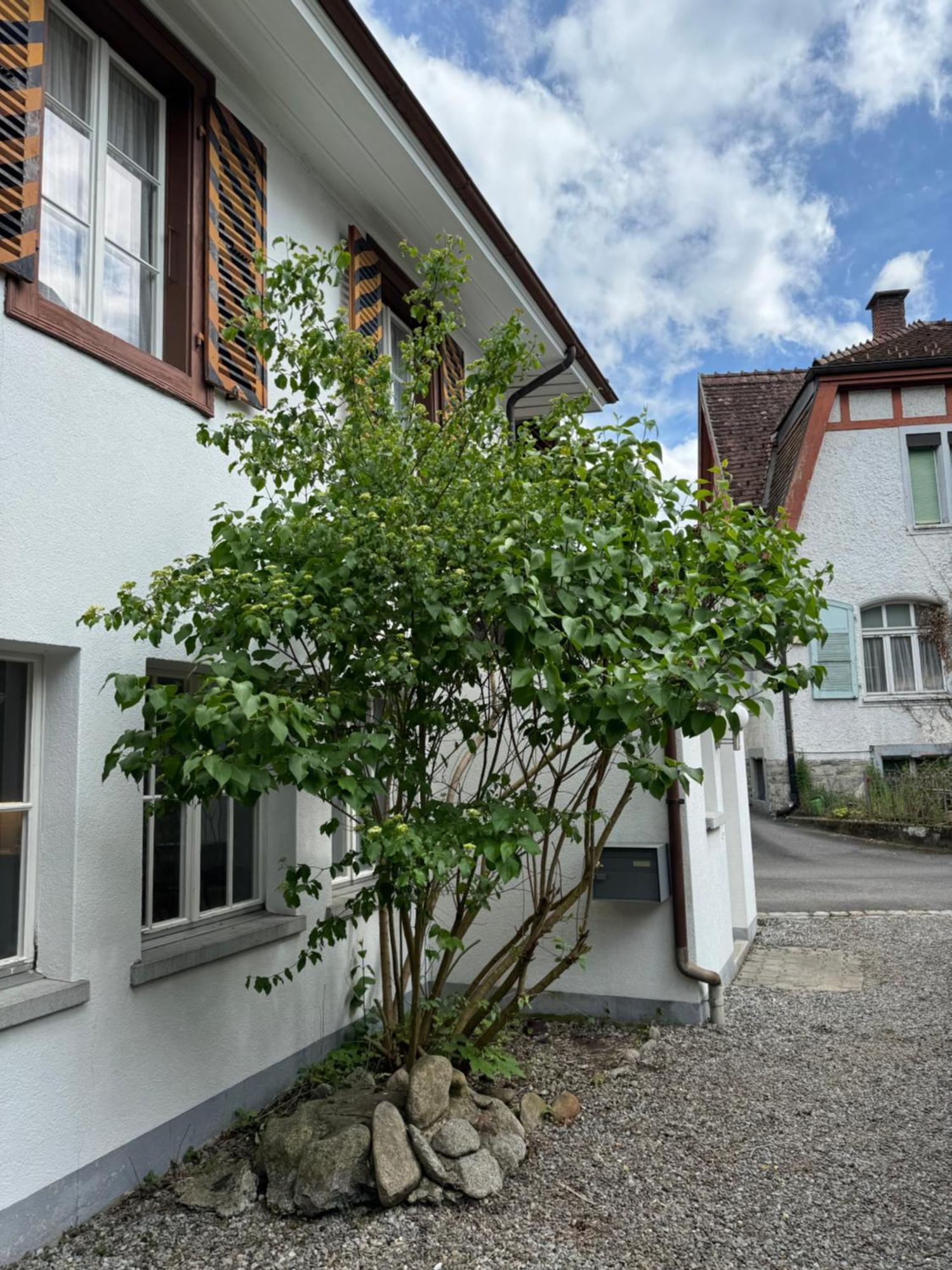 Willa Garden House Interlaken Zewnętrze zdjęcie